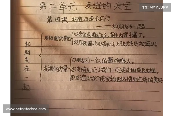 我们从加密市场中学到的最惨痛一课 我们从加密市场中学到的最惨痛一课
